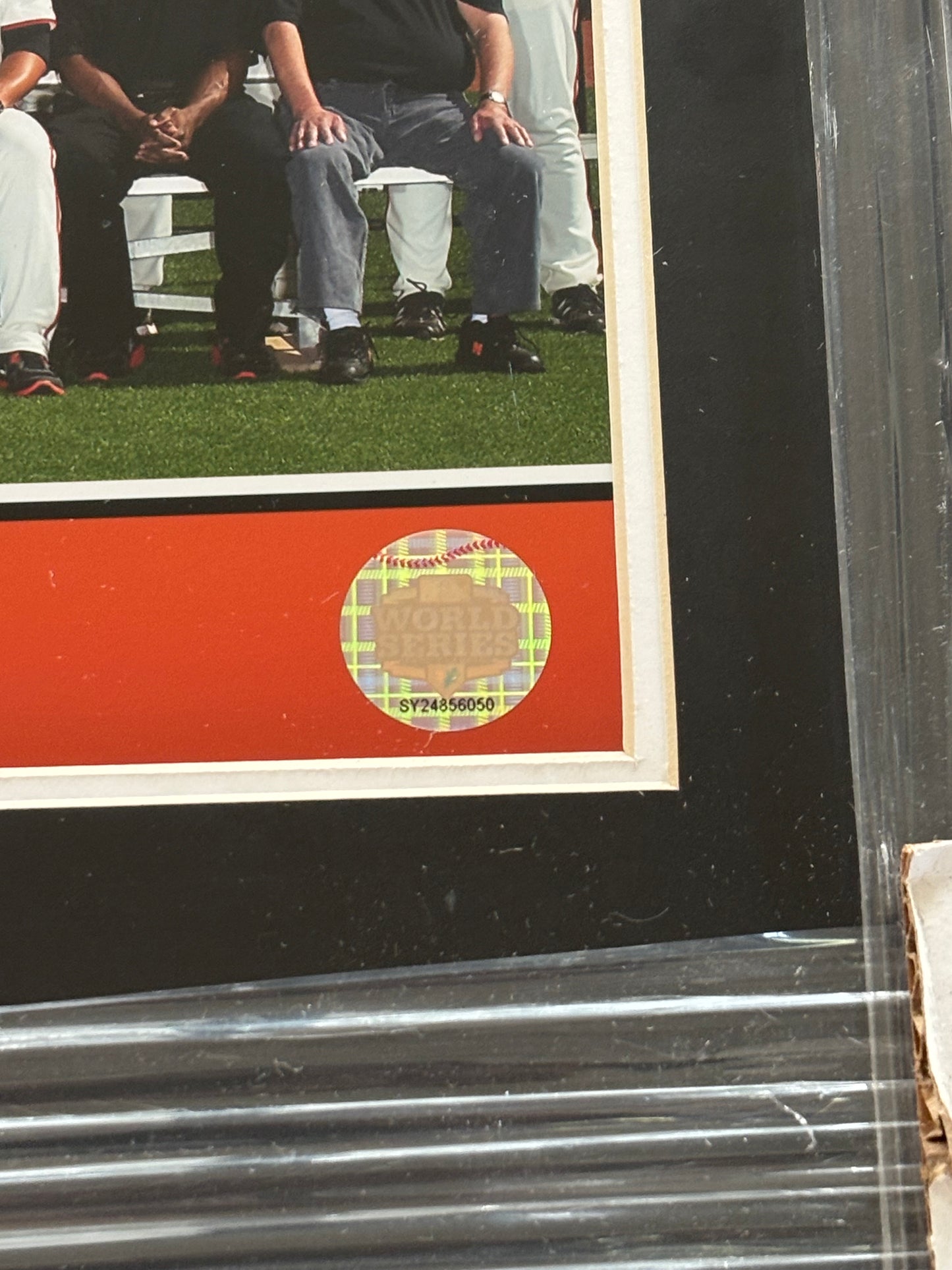 San Francisco Giants 2012 World Series Team Framed Portrait