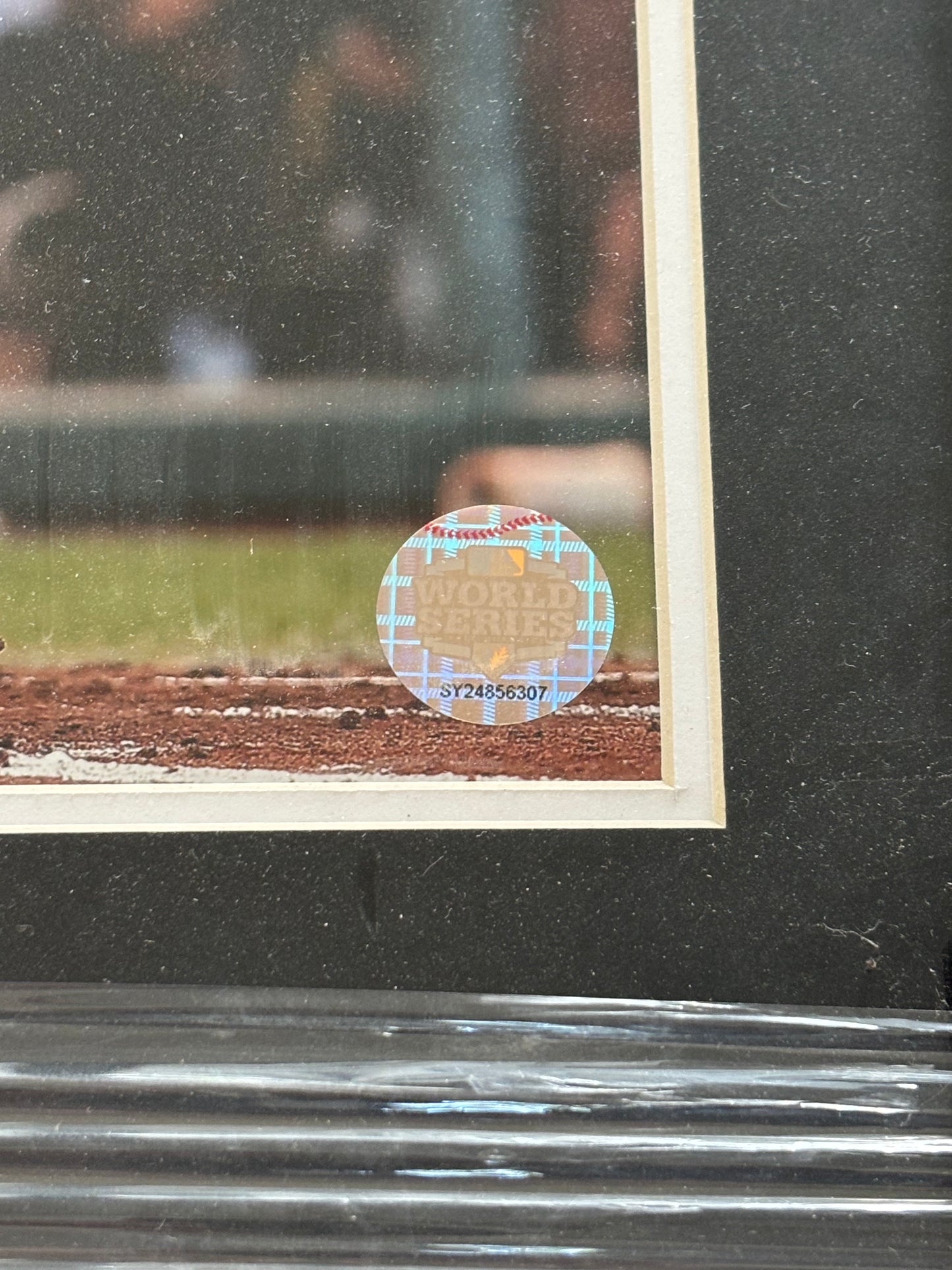 Pablo Sandoval 2012 World Series Swing Photo Framed Print